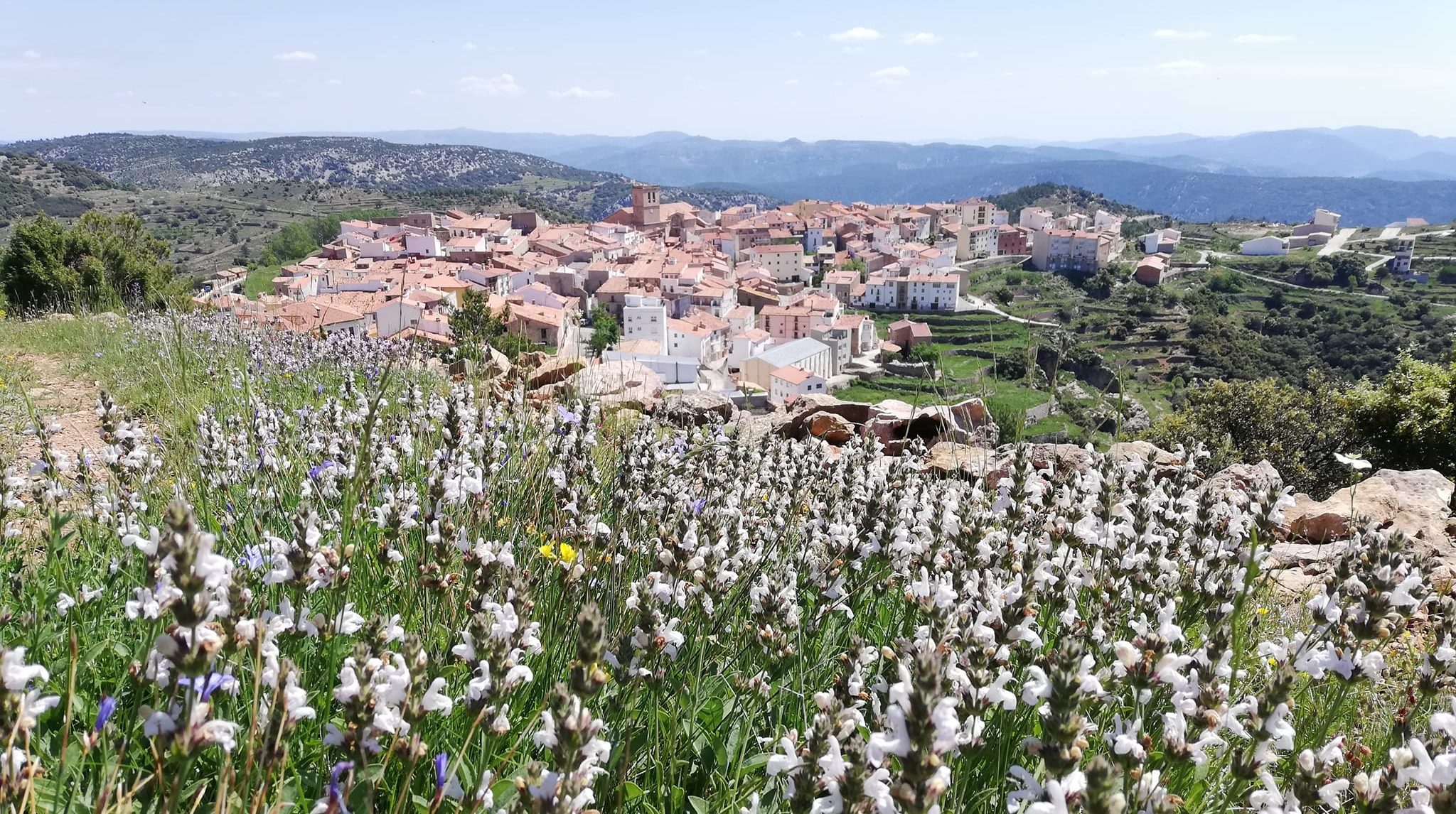 El Consell incorpora l'Oficina d'Informació Turística de Vistabella del Maestrat a la Xarxa Tourist Info