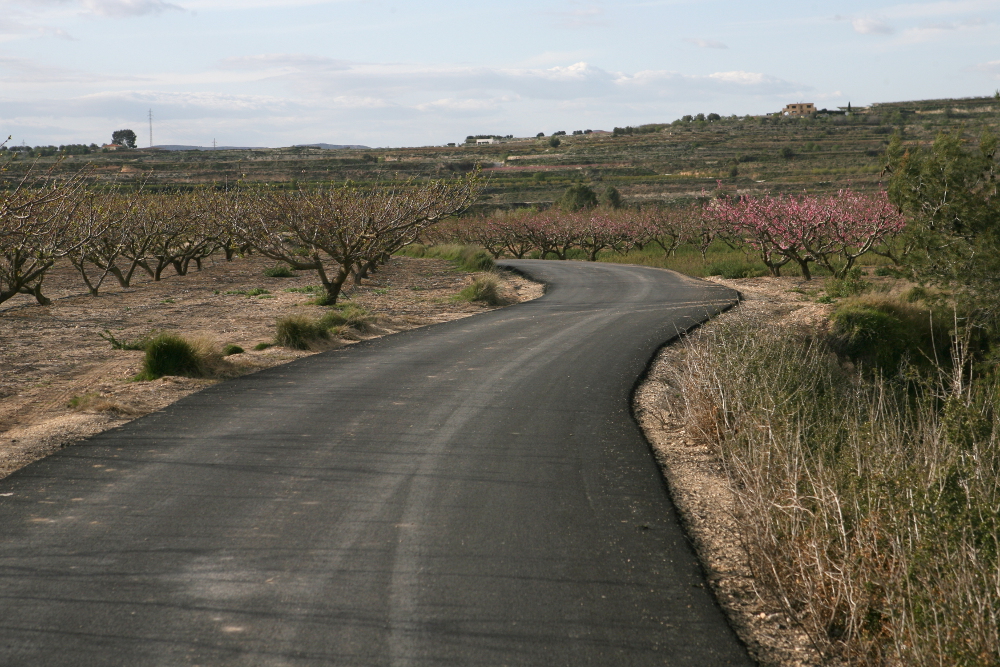 Agricultura publica una nova ordre que actualitza les ajudes per a la millora dels camins rurals