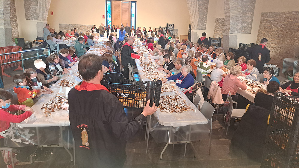 Tradicional «embolicà» de coquetes de la Festa de Sant Antoni de Benicarló