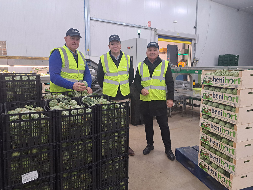 El regidor d'Agricultura de Benicarló dona suport a la carxofa DOP en Benihort