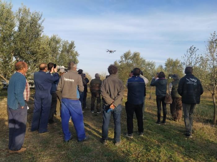 La Generalitat finança un sistema de reg que analitza l'estat de cada planta per a estalviar aigua