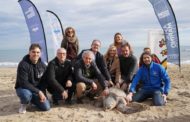 El telèfon 1·1·2 gestiona una mitjana d'un incident al dia per albiraments d'animals marins