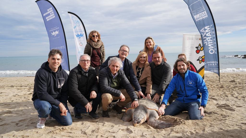 El telèfon 1·1·2 gestiona una mitjana d'un incident al dia per albiraments d'animals marins