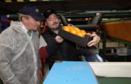 Aguirre defén la recuperació de parcel·les agràries abandonades