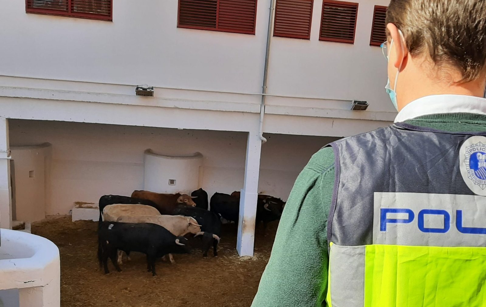 Justícia i Interior va autoritzar en 2023 la celebració de 8.658 festejos de bous al carrer