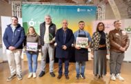 Mar Blava i Can Bolo guanyen el Concurs dels Pinxos de la Carxofa de Benicarló