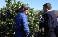 Mazón assisteix a Fruit Logística Berlín per a promocionar i defensar al sector hortofructícola