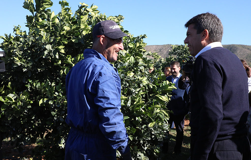 Mazón assisteix a Fruit Logística Berlín per a promocionar i defensar al sector hortofructícola
