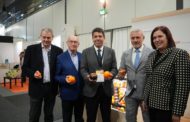 Mazón: «L'horta d'Europa està en la Comunitat Valenciana i lluitarem perquè continue sent així»