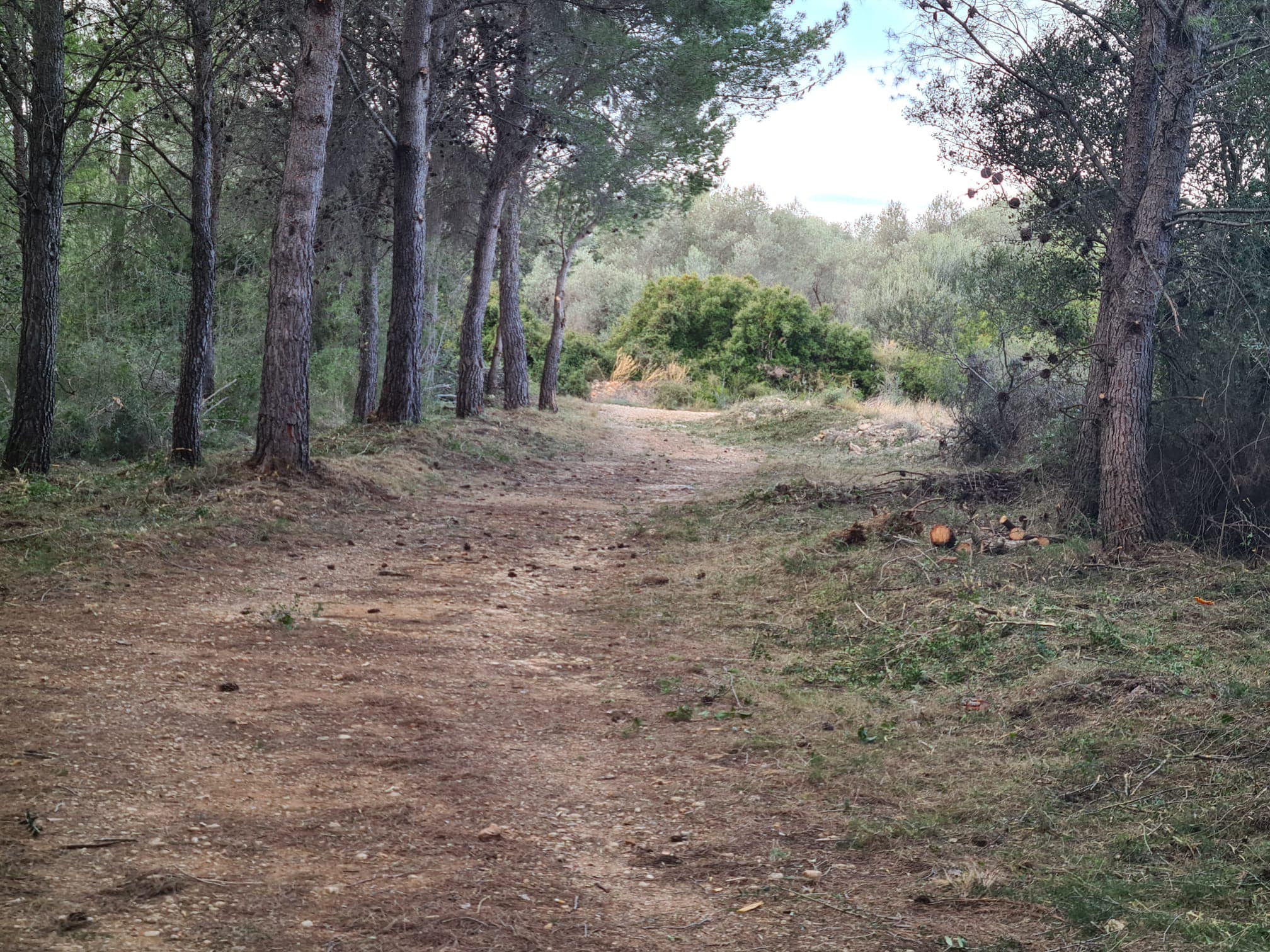La Brigada EMERGE de Sant Mateu executa tasques de desbrossament