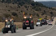 El PP eleva al Ple de Morella una moció en defensa de la ramaderia i l'agricultura