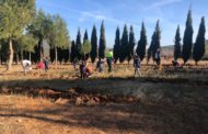 Els xiquets i xiquetes de Tírig celebren el Dia de l'Arbre