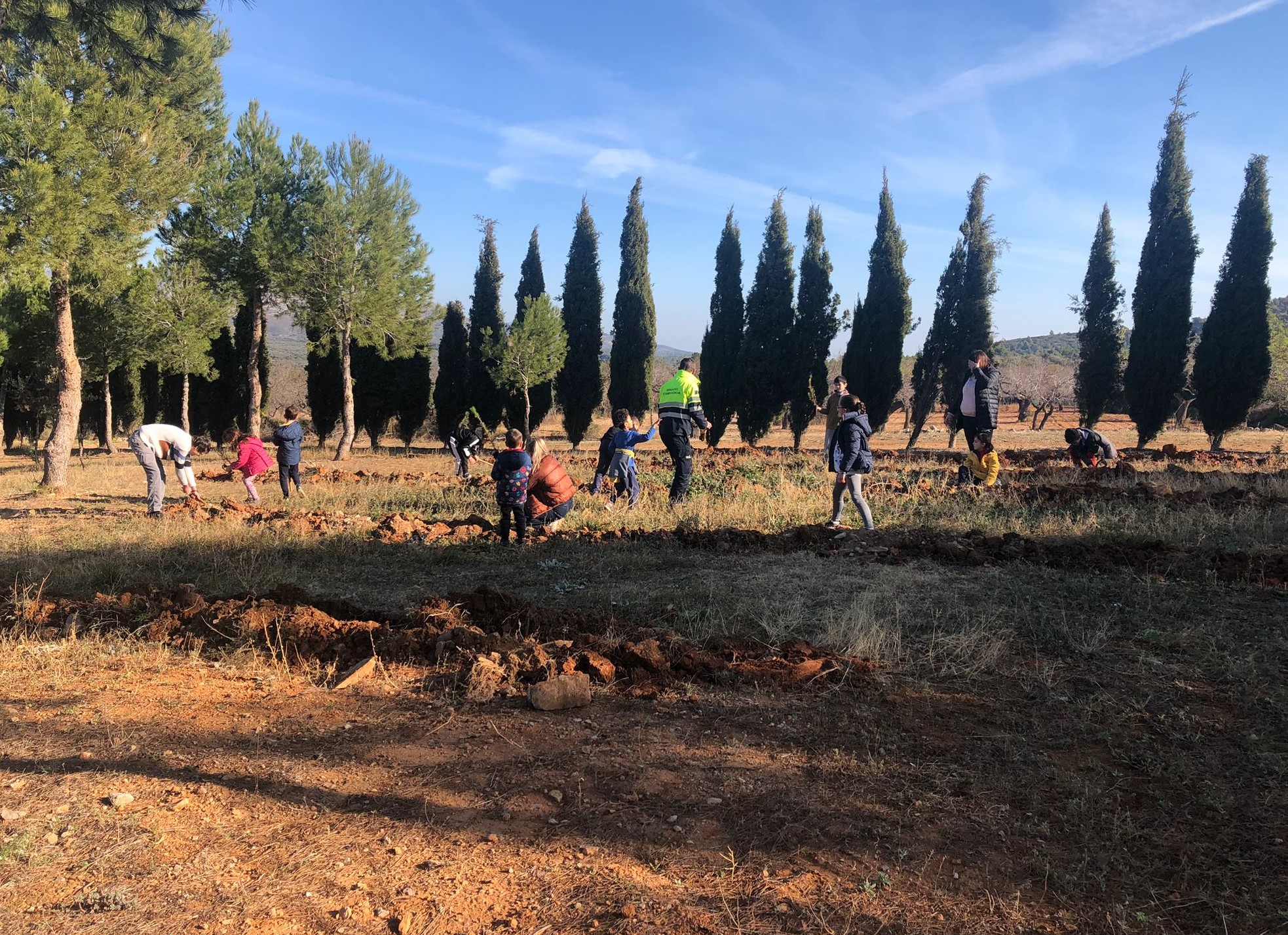 Els xiquets i xiquetes de Tírig celebren el Dia de l'Arbre