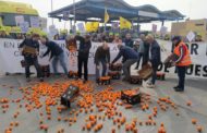 Les organitzacions agràries denuncien en el port de Castelló la competència deslleial