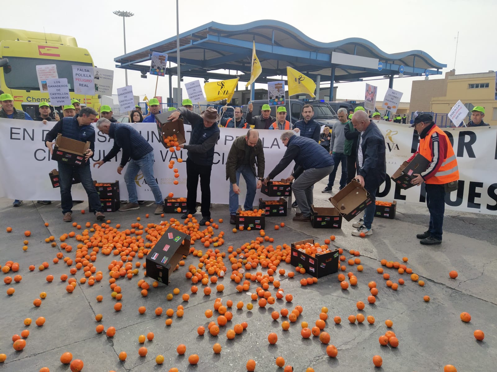 Les organitzacions agràries denuncien en el port de Castelló la competència deslleial
