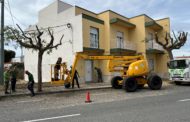 Obres i Serveis poda els arbres de l’avinguda de Maria Auxiliadora de Vinaròs