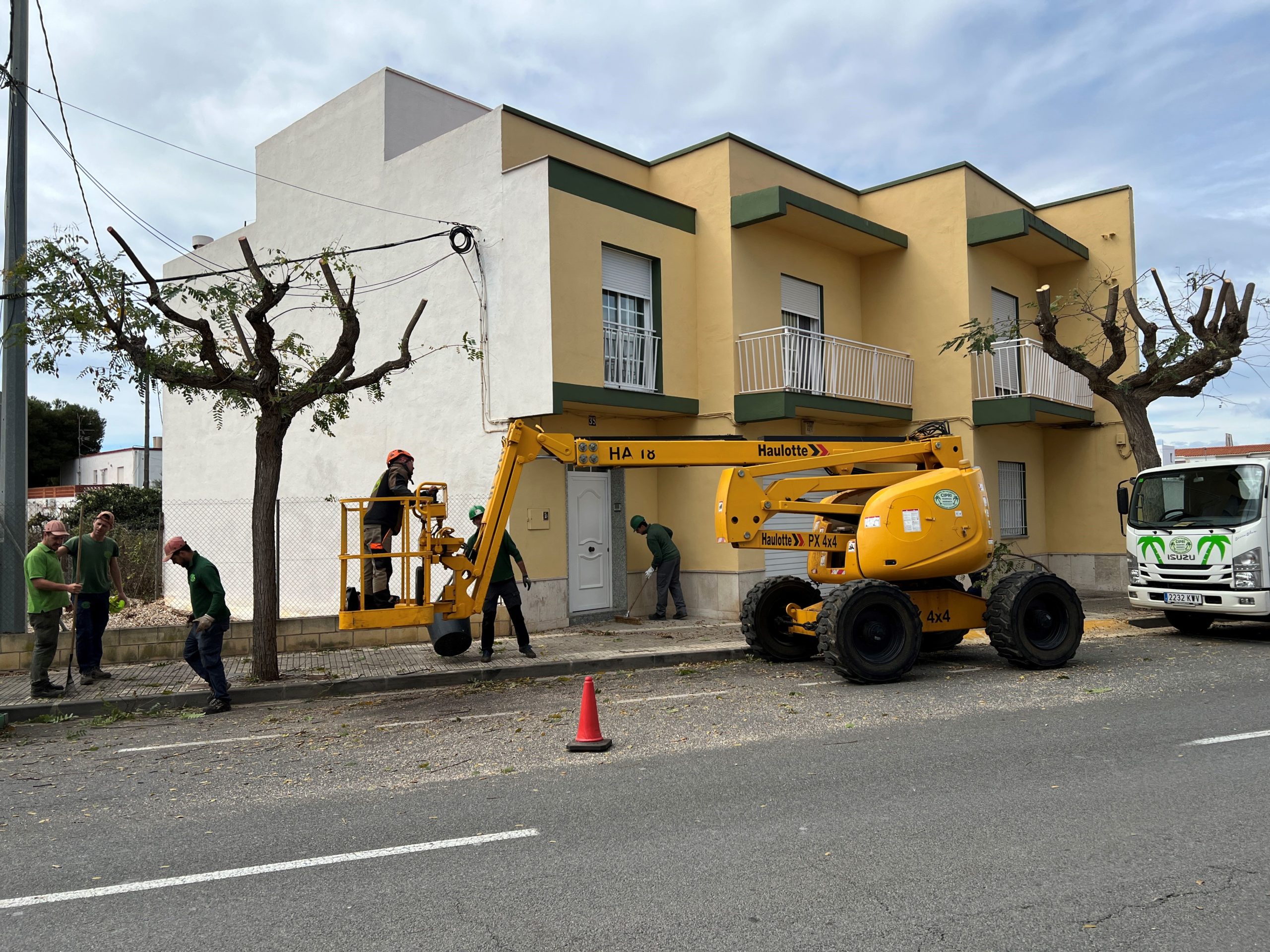 Obres i Serveis poda els arbres de l’avinguda de Maria Auxiliadora de Vinaròs