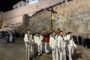 Càlig publica el cartell anunciador i la programació de la XI Fira de Sant Vicent i dolços tradicionals