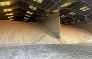 LA UNIÓ denuncia la importació en 3 dies d'arròs equivalent a un terç de la producció valenciana