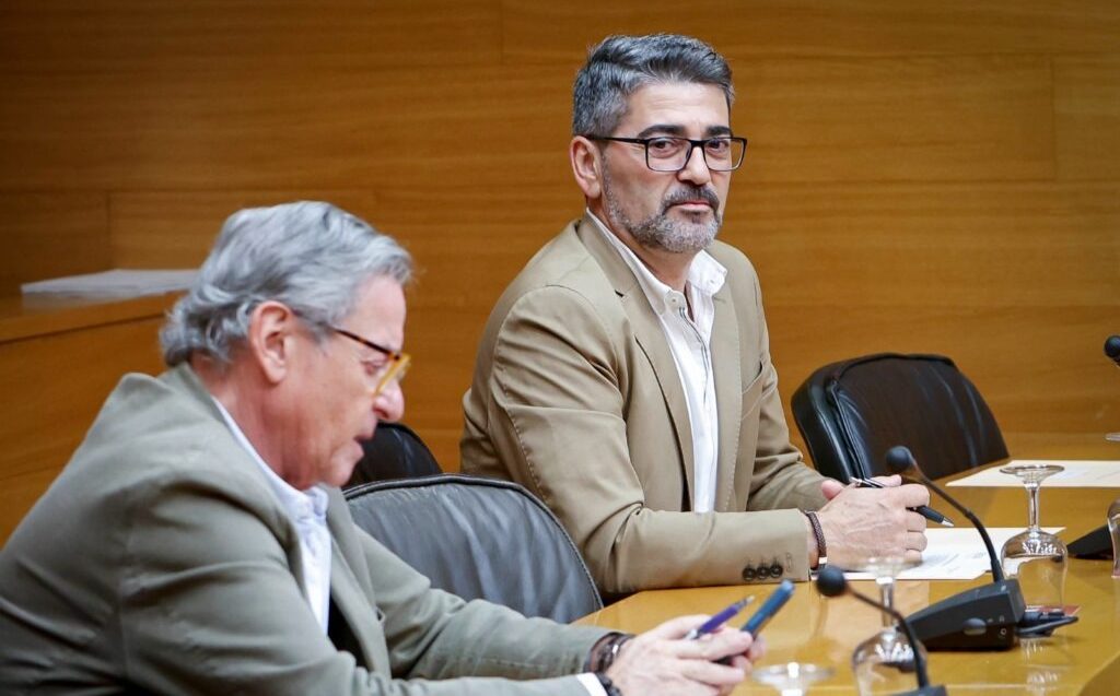El PPCV denuncia la «paràlisi en la gestió de la DGT» amb un dèficit de 900 professors d'autoescola