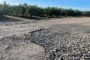 La Diputació de Tarragona destinarà 4M€ als ens locals per pal·liar els efectes dels fenòmens meteorològics