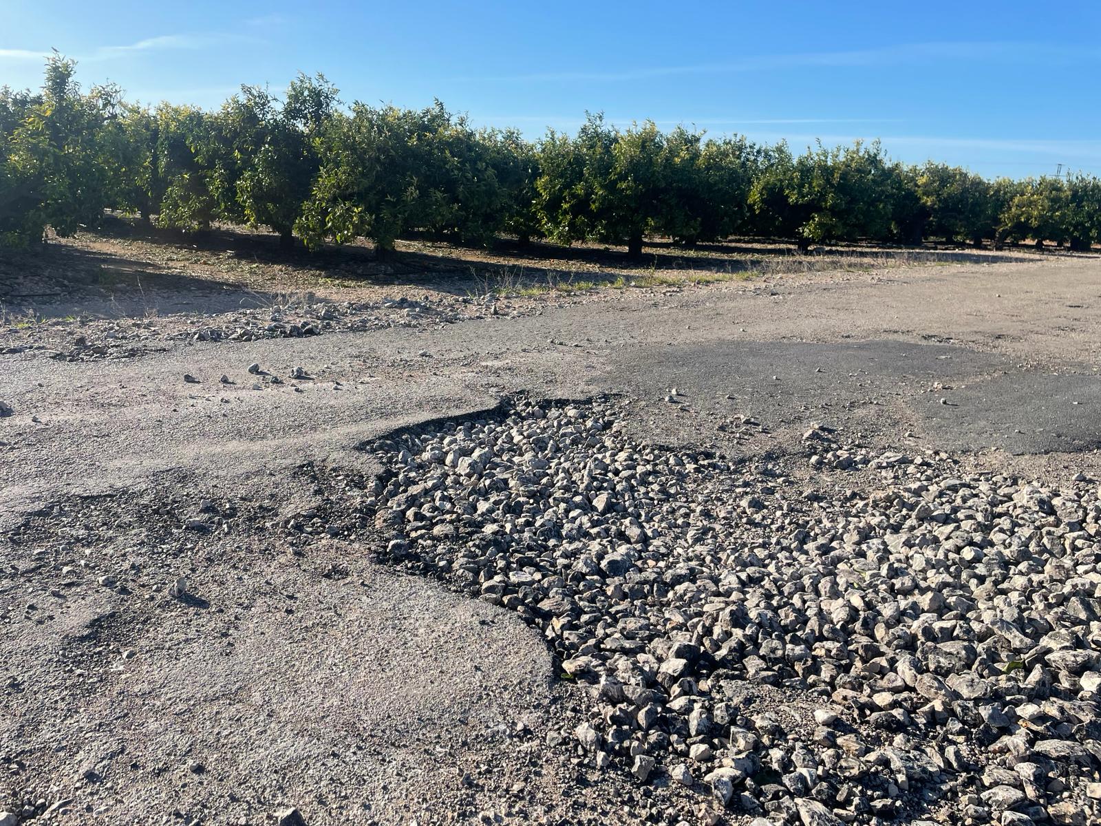 Els socialistes de Vinaròs denuncien la «paralització» de la Regidoria d'Agricultura