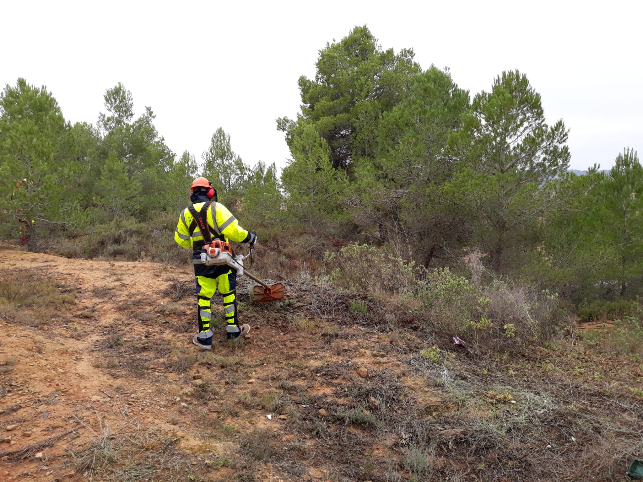 La Diputació i els Consells Comarcals posen en marxa una nova edició dels plans d’ocupació 