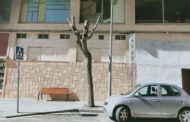 APNAL–Ecologistes en Acció de Vinaròs lamenta les severes podes d'arbratge urbà
