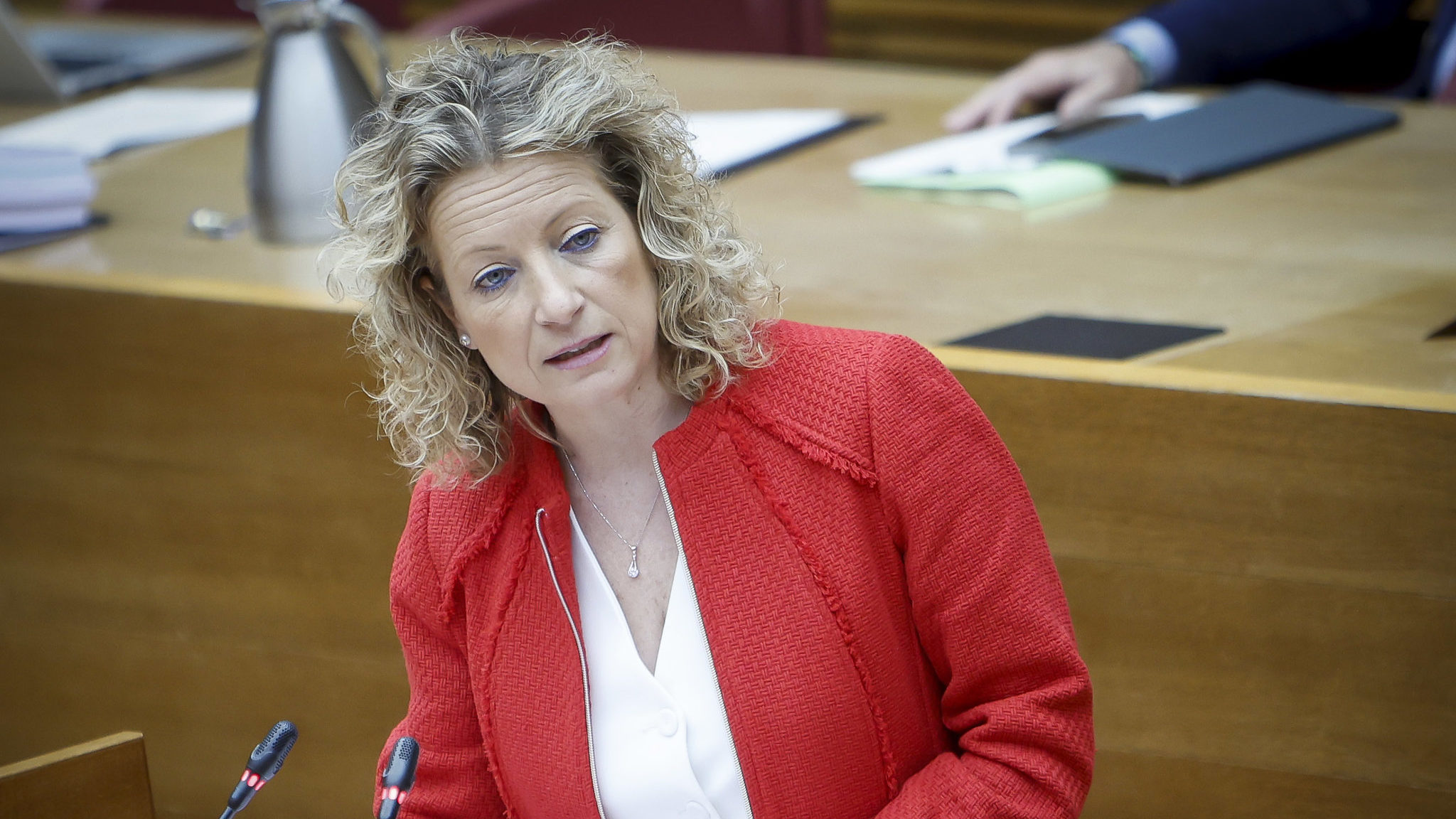 El PPCV frenarà «tot allò que supose una intromissió i usurpació de les nostres senyals d'identitat»