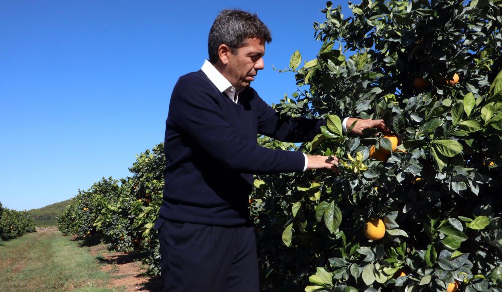 Mazón acompanyarà al sector primari per a defendre els seus «legítims interessos» davant Europa