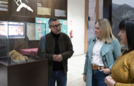 La Diputació enaltix el Museu de la Valltorta amb el Mèrit de les Arts en el Dia de la Província