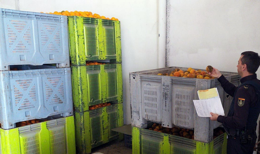 «L'Operació Horta» pretén frenar l'augment de robatoris i venda il·legal de productes hortofructícoles