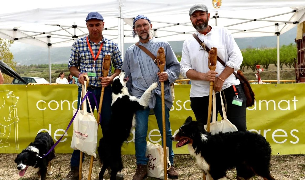 Juli Bayot i Tuca guanyen en La Valleta d'Agres