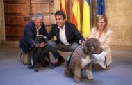 Mazón: «Reforcem la protecció animal i ens situem en l’avantguarda de la lluita contra l’abandó»