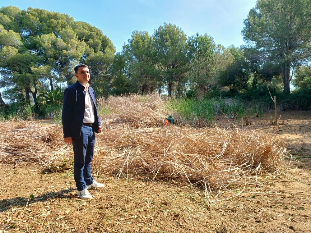 Medi Ambient inicia la neteja de la làmina d’aigua de la Basseta del Bovalar