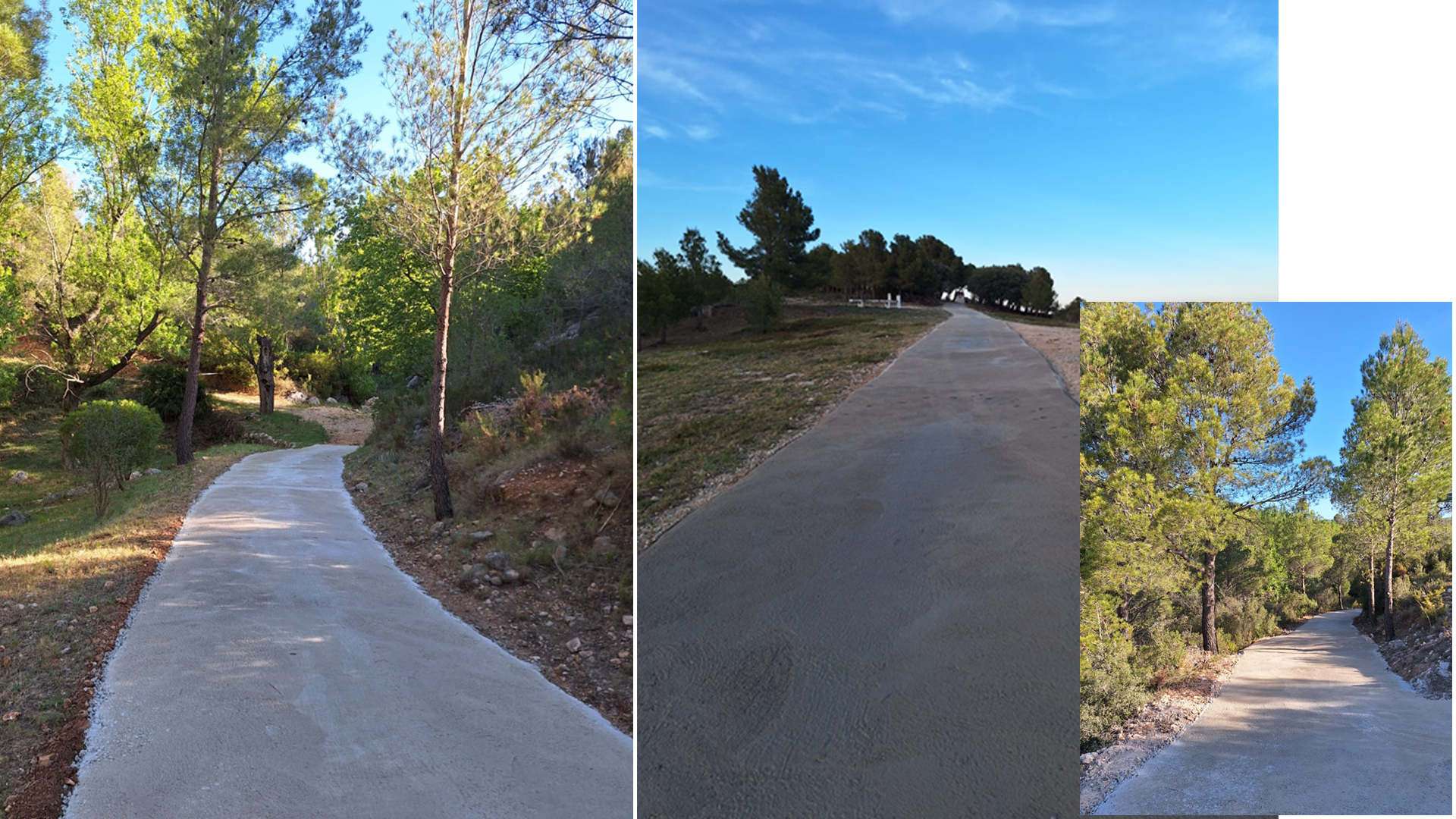 Rossell formigona diversos camins