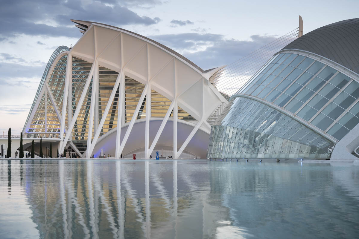 El Museu de les Ciències donarà visibilitat a l'ELA amb una exposició fotogràfica