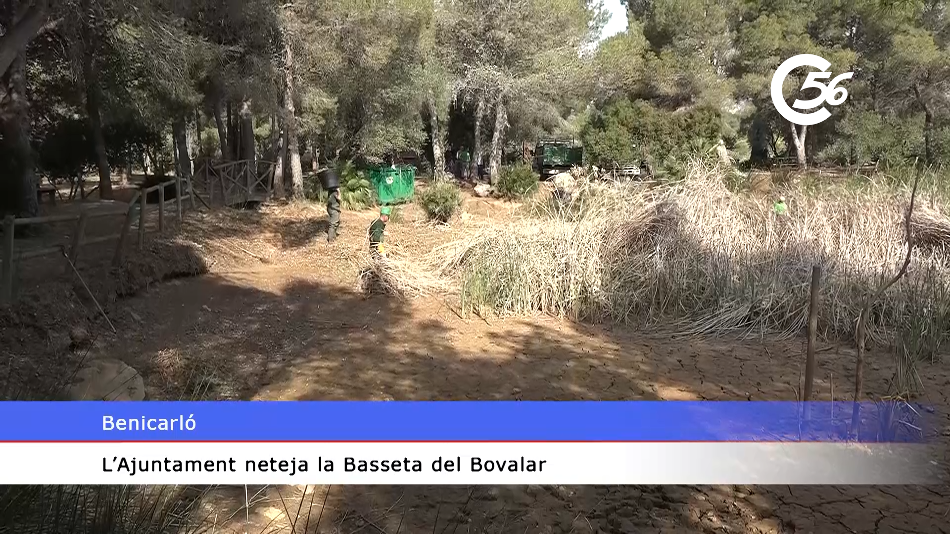 video