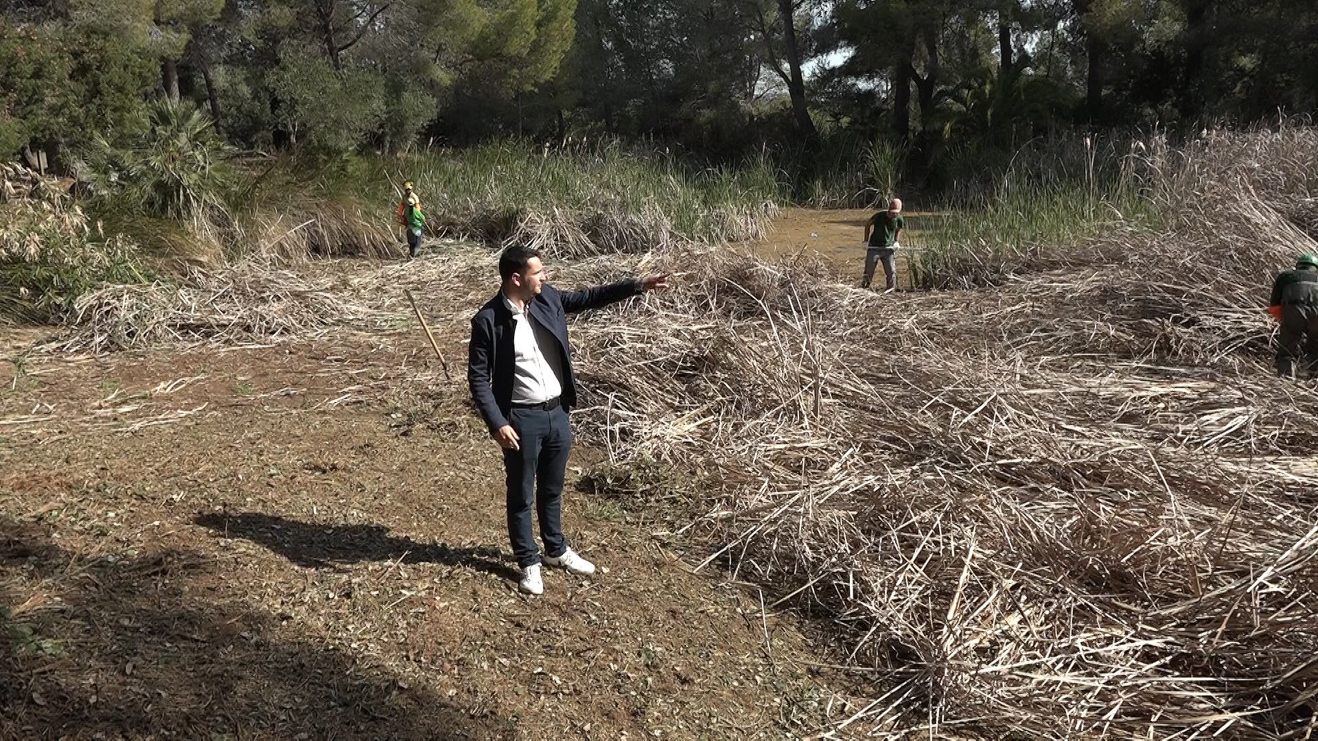 video