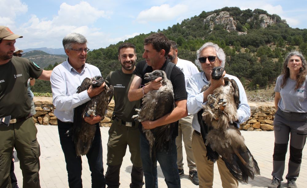 Medi Ambient participa en la solta de tres cries de crebalòs en la Tinença de Benifassà