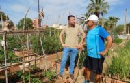 Manteniment i millora de l’accessibilitat a l’Hort de la Mar de Benicarló