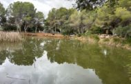 El Consell aprova un conveni amb l'Ajuntament per al manteniment de la Basseta del Bovalar