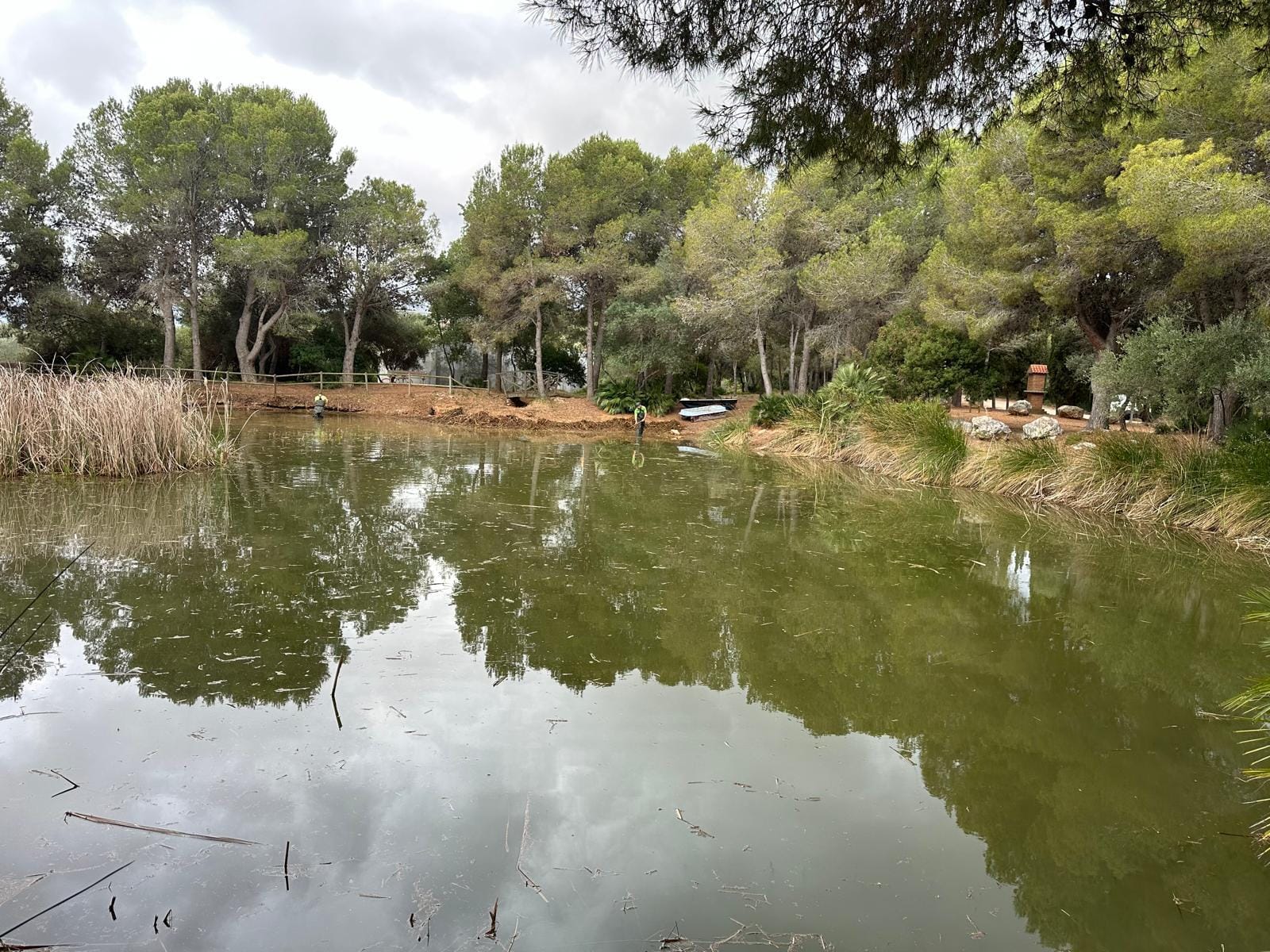 El Consell aprova un conveni amb l'Ajuntament per al manteniment de la Basseta del Bovalar
