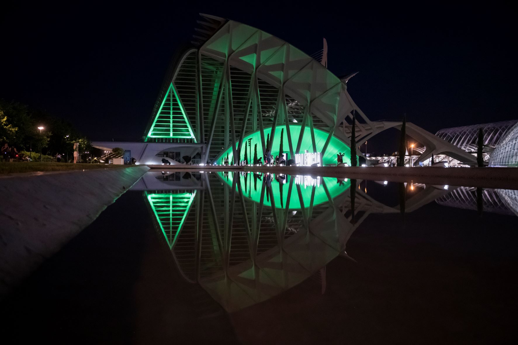 La Ciutat de les Arts i les Ciències s'il·lumina de verd pel Dia Mundial de l'ELA