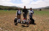 Dani Sánchez es corona com a campió del XVII Concurs de Gossos de Rabera d'Ares