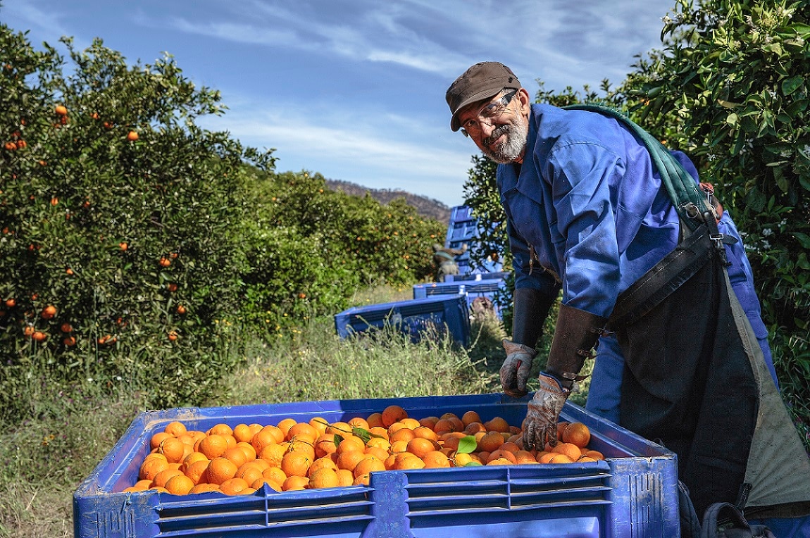 Agricultura abonarà 105M a prop de 37.600 sol·licitants de la PAC en 2024
