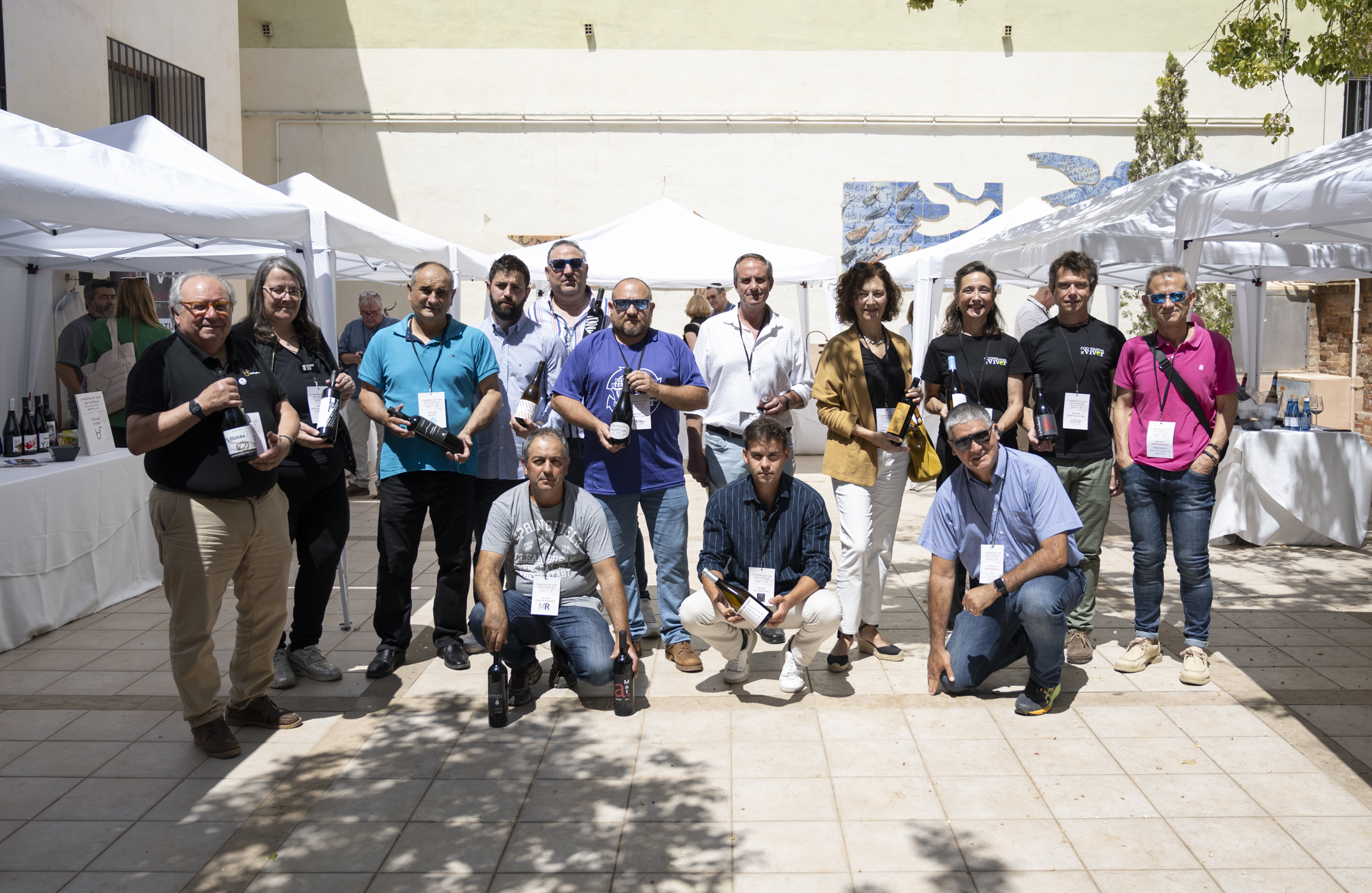 El Pati de Les Aules de la Diputació acull la II Mostra Professional de Vins IGP Castelló