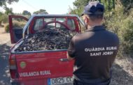 Sant Jordi optarà a les ajudes de la Diputació per a reforçar la seguretat en el camp