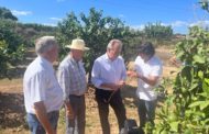 AVA-ASAJA presentarà al·legacions perquè la Conselleria compense els danys de la fauna