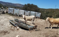 El PSPV exigix al nou titular d'Agricultura ajudes i el pagament de les subvencions pendents